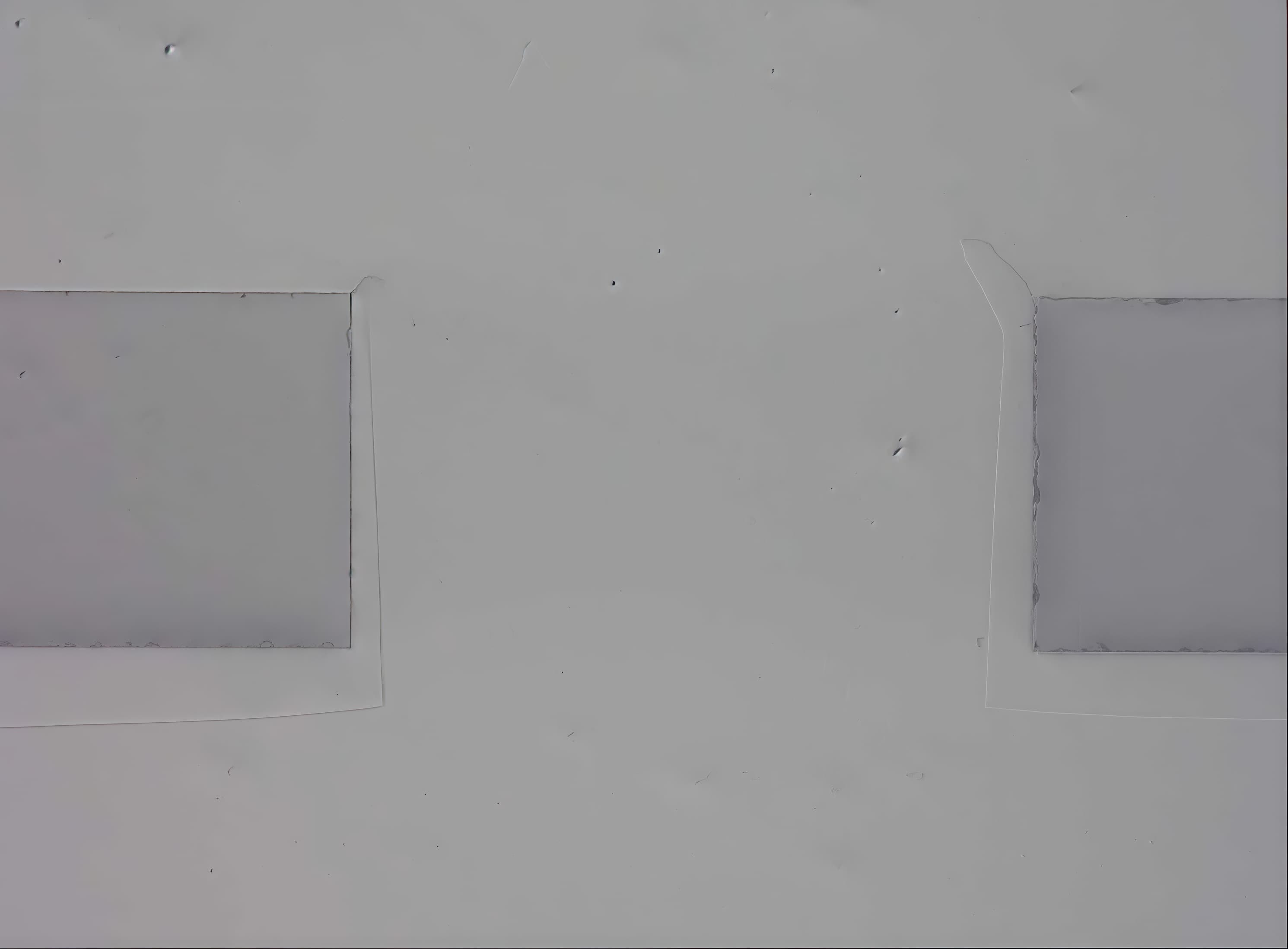 SEM
