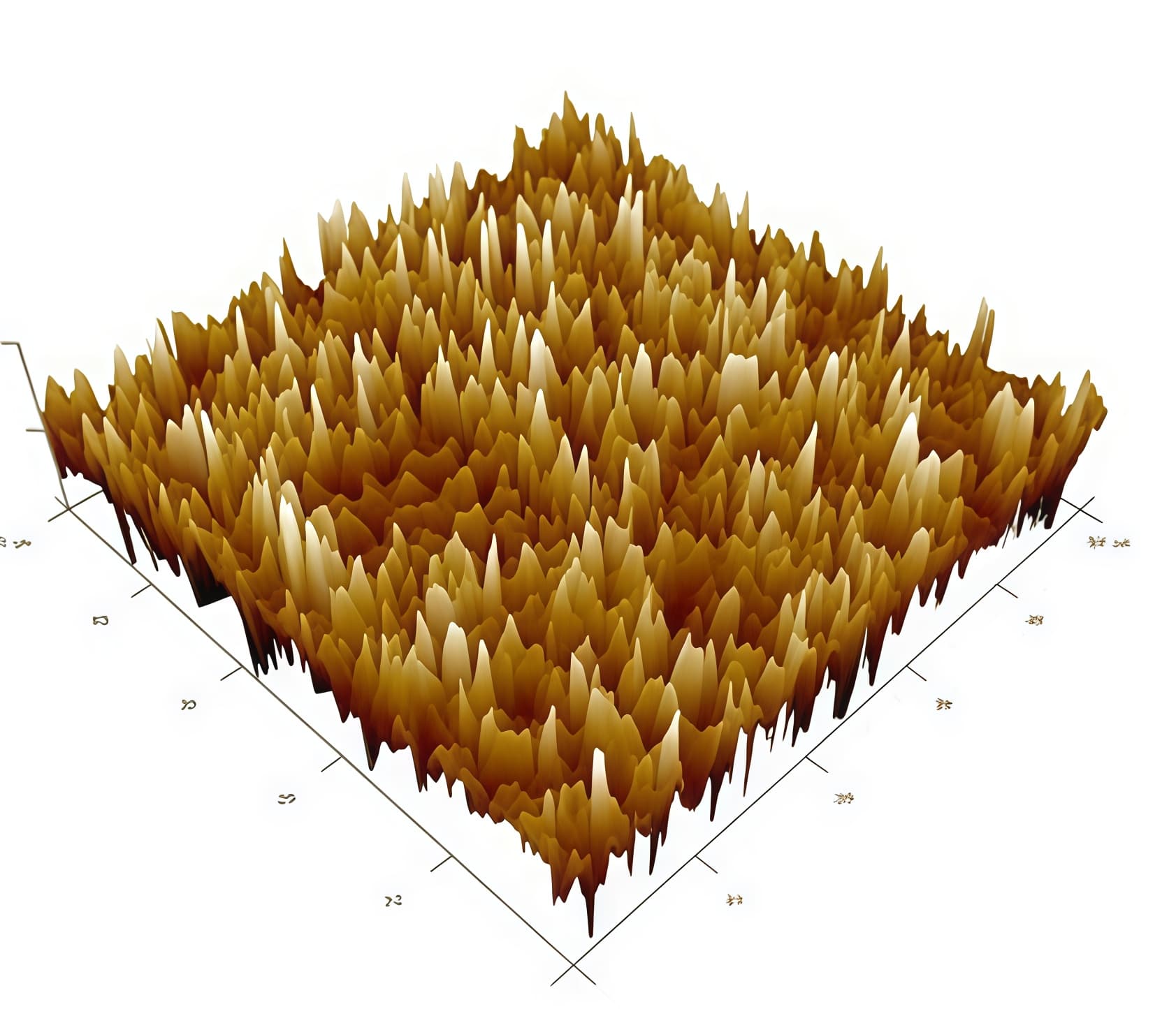 AFM